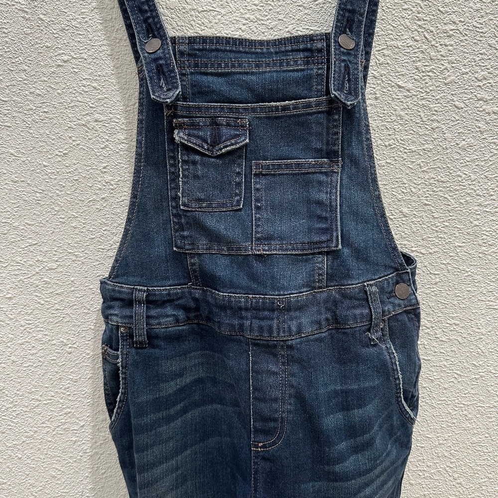 Free People Overalls